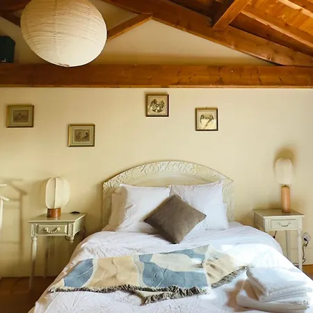 Apartament La Boheme Saint Michel By Art&suites Gaillac